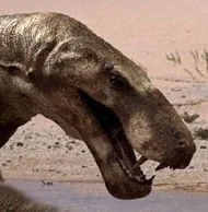Gorgonops
