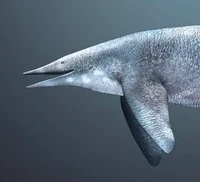 Shastasaurus