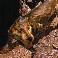 Thrinaxodon