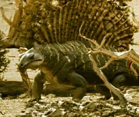 Edaphosaurus