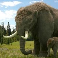 American Mastodon