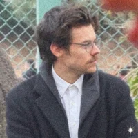 Harry Styles - au