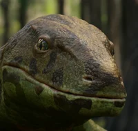 Anthracosaurus