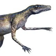 Lagosuchus