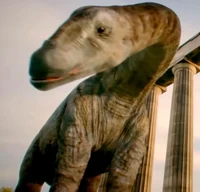 Cetiosaurus