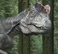 Sinosaurus