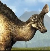 Tsintaosaurus