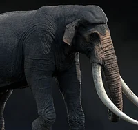 Palaeoloxodon