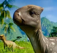 Homalocephale