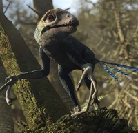 Epidexipteryx
