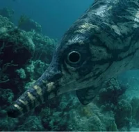Ophthalmosaurus