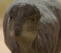 Prenocephale