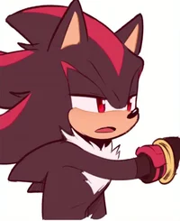 Shadow The Hedgehog