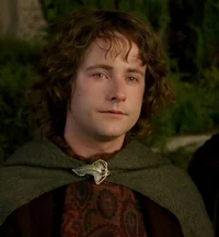 Pippin Took 