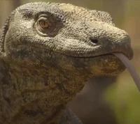 Megalania