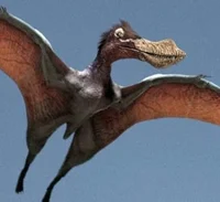 Anhanguera