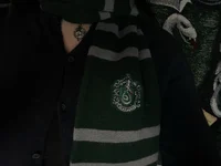 The Slytherin 