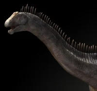 Dicraeosaurus