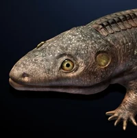 Cacops