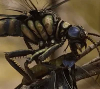 Meganeuropsis