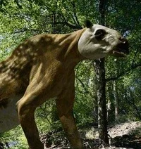 Chalicotherium