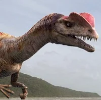 Dracovenator