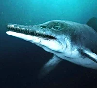 Temnodontosaurus