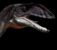 Zupaysaurus