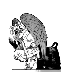 Hawks