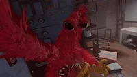 Chum Chompkins