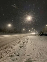 Snow Trail Encounter