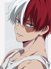 Shoto Todoroki