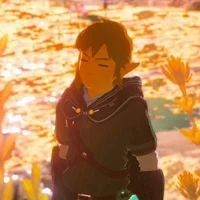Link