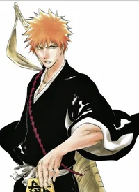 - Ichigo Kurosaki