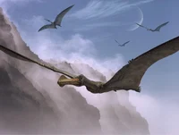 Tropeognathus