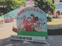 Class 1-A Zoo Secret