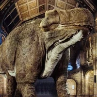 Diplodocus