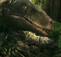 Utahraptor