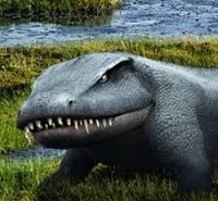 Sclerocephalus