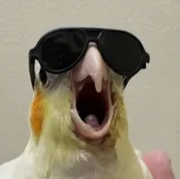 TheobaldTheBird 