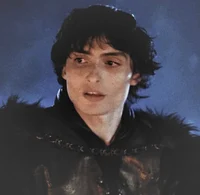 Finn Wolfhard 