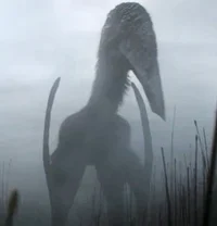 Hatzegopteryx