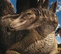 Stegosaurus stenops
