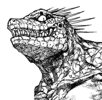 Caiman