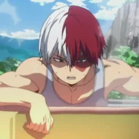 Shoto Todoroki