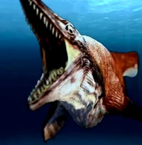 Platecarpus