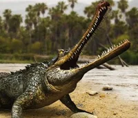 Gryposuchus