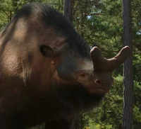 Megacerops