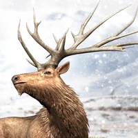 Eucladoceros