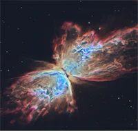 Butterfly nebula 